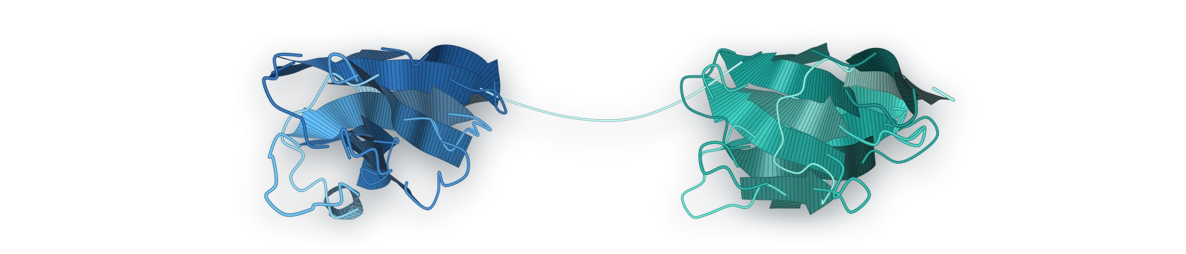 Ribbon drawings of two single-domain protein folds joined by a linker.
