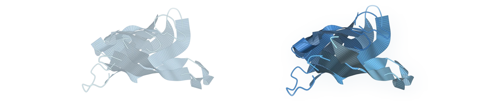 One protein fold drawn twice, once drained of color and once in full color.